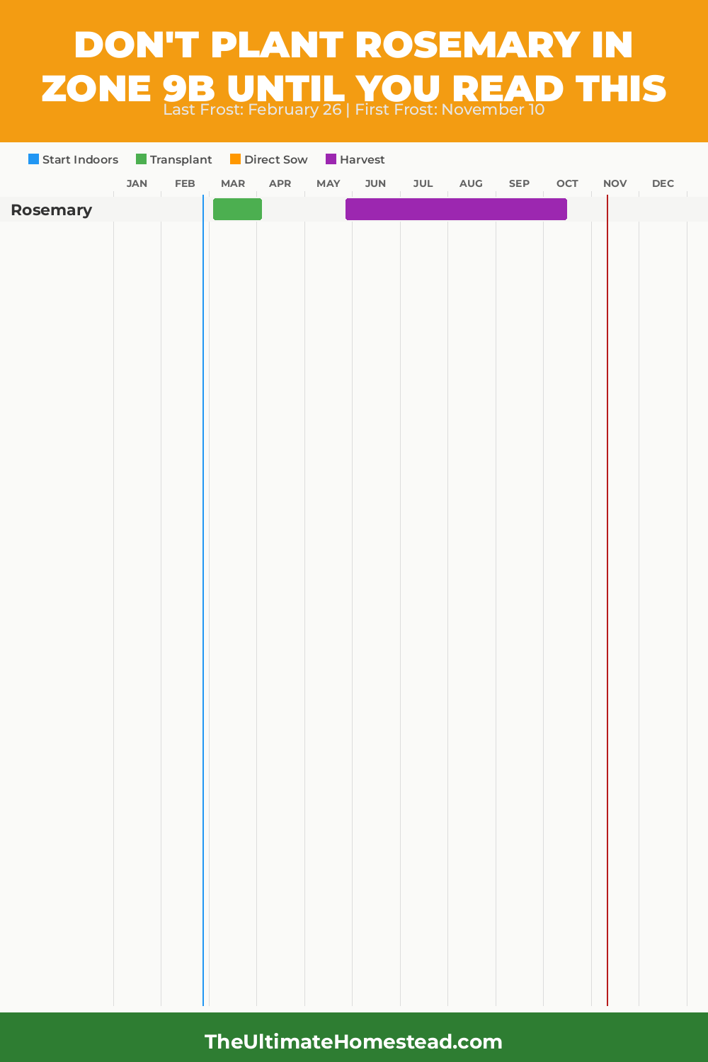 When to Plant Rosemary in Zone 9b
