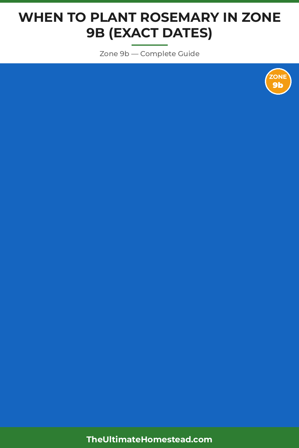 When to Plant Rosemary in Zone 9b