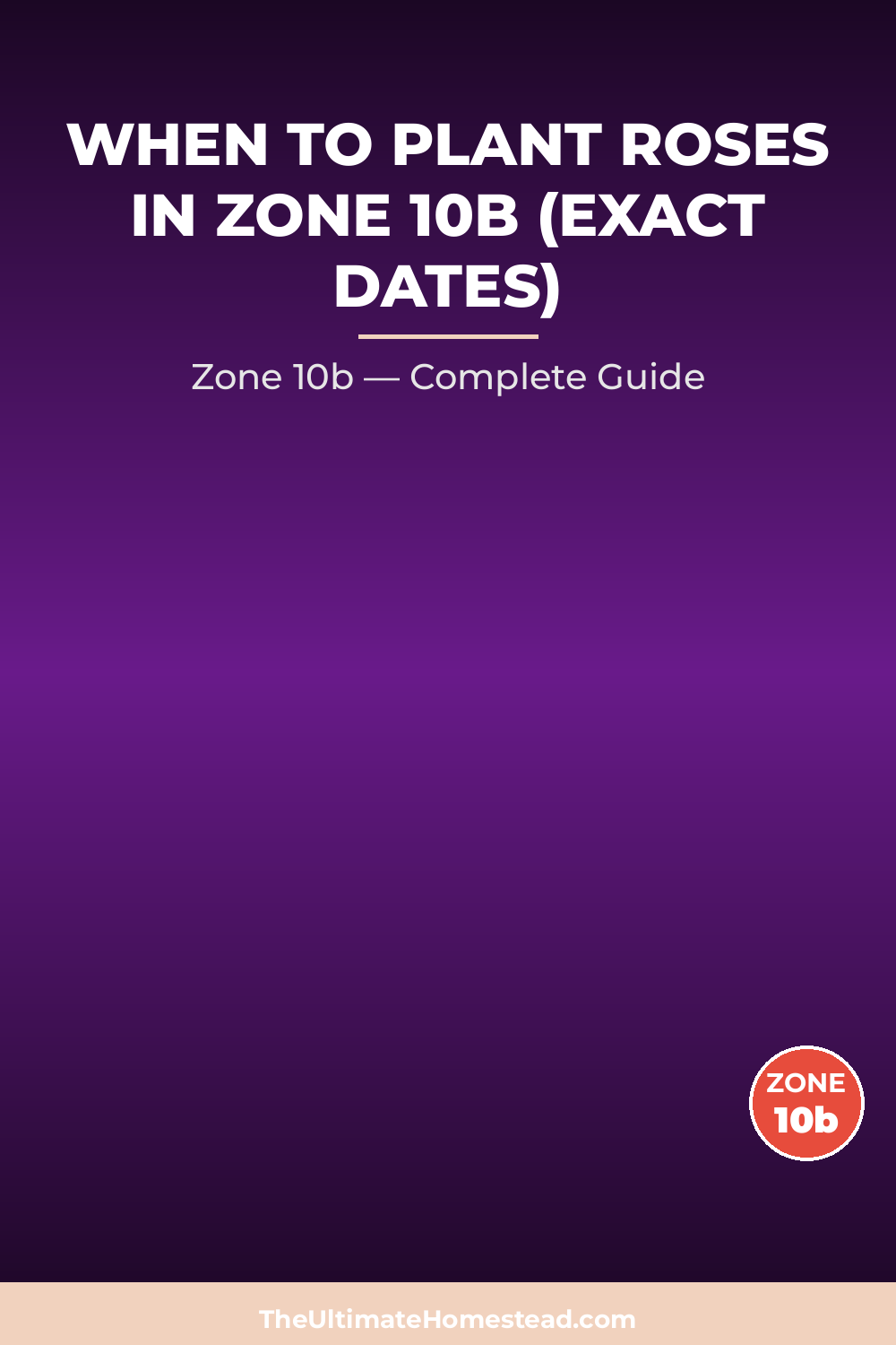 When to Plant Roses in Zone 10b