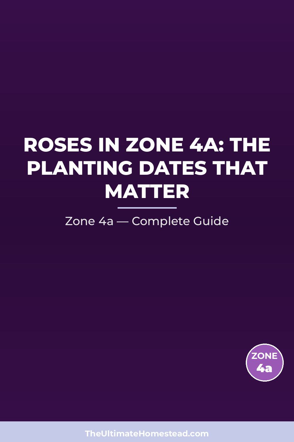 When to Plant Roses in Zone 4a