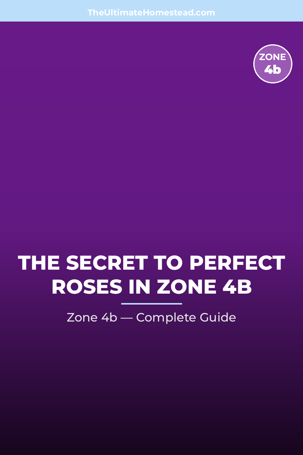 When to Plant Roses in Zone 4b
