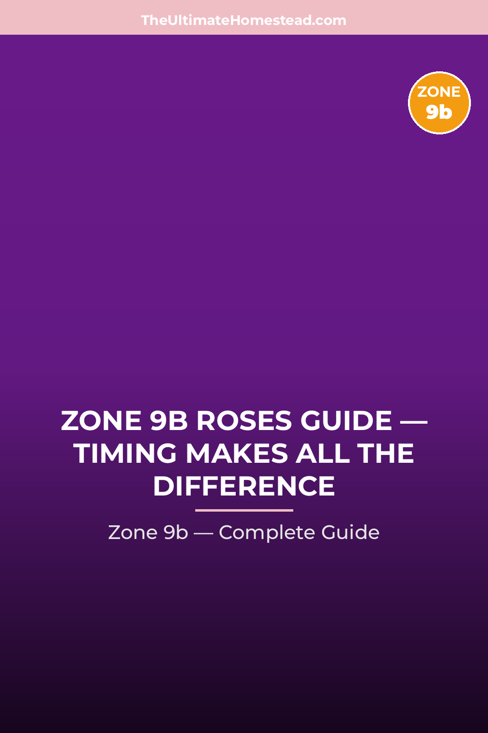 When to Plant Roses in Zone 9b