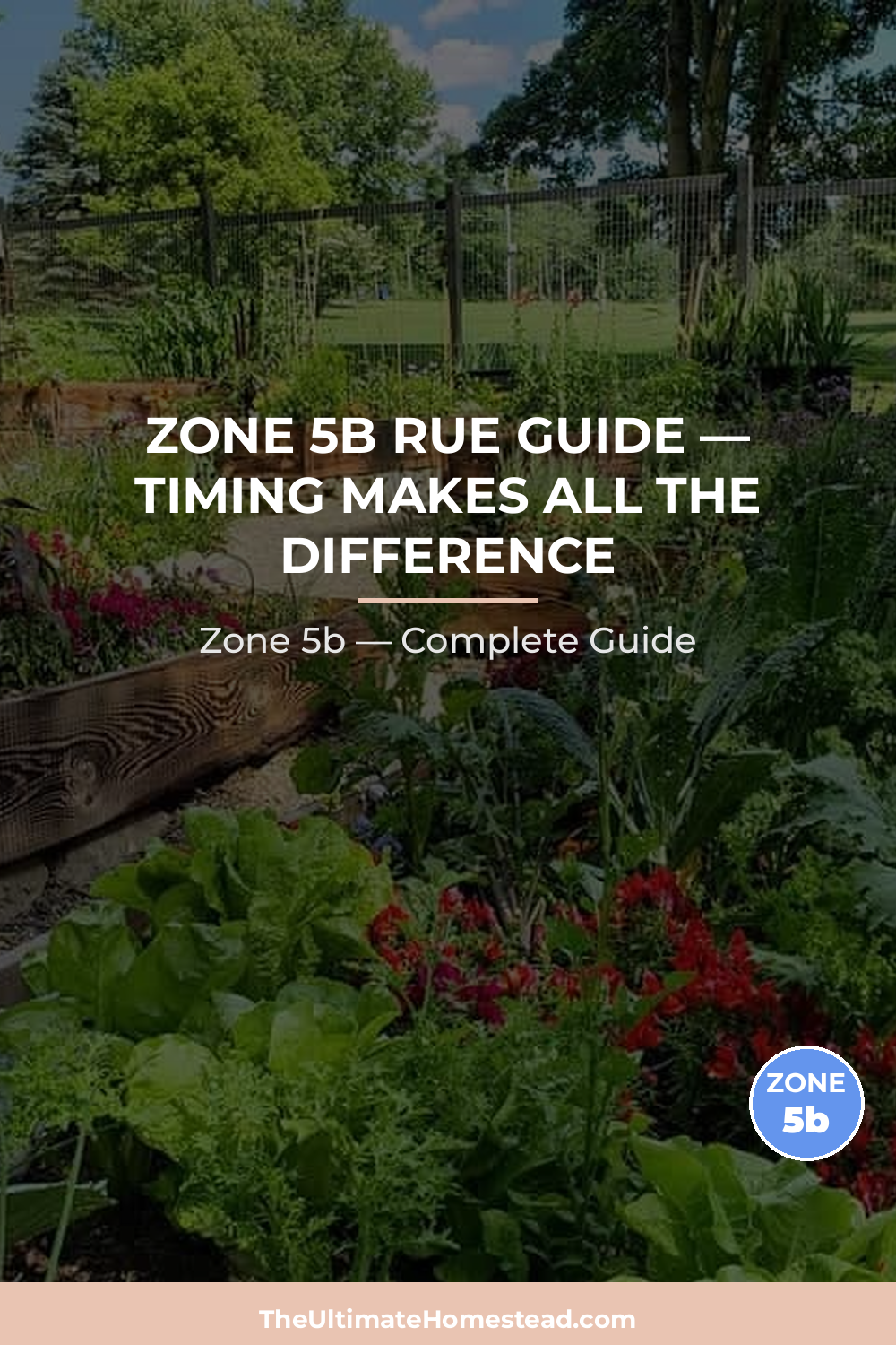 When to Plant Rue in Zone 5b