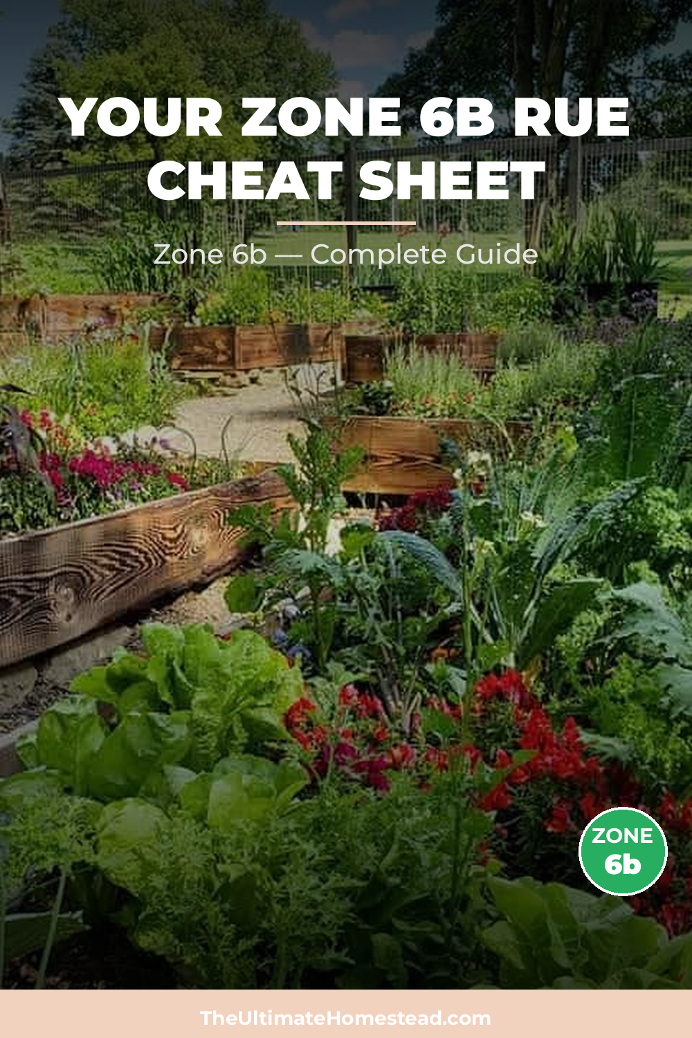 When to Plant Rue in Zone 6b