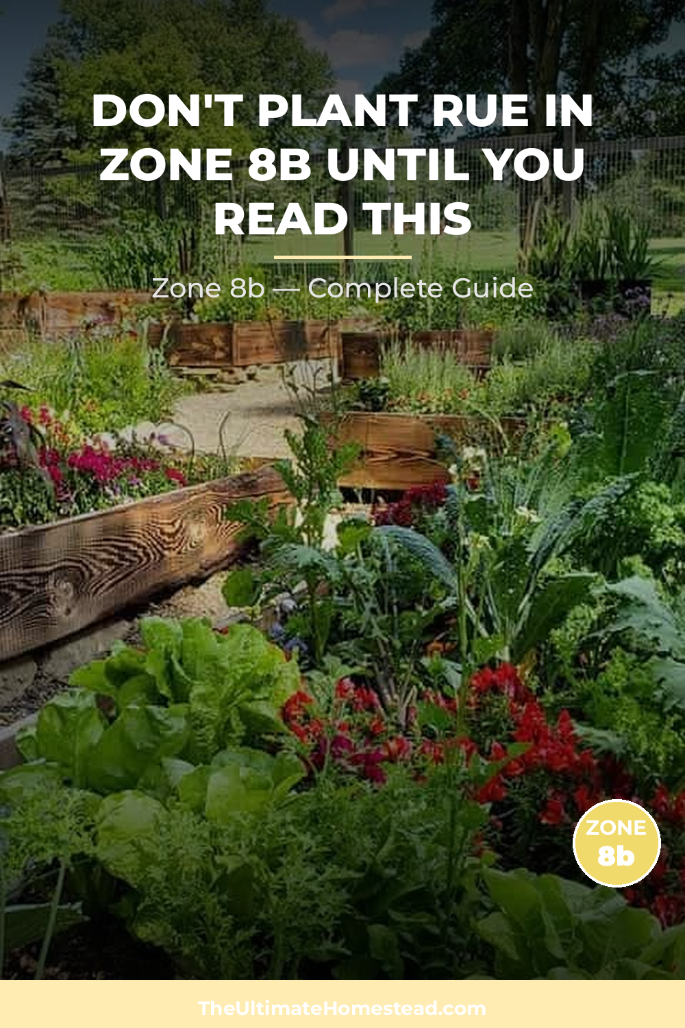 When to Plant Rue in Zone 8b