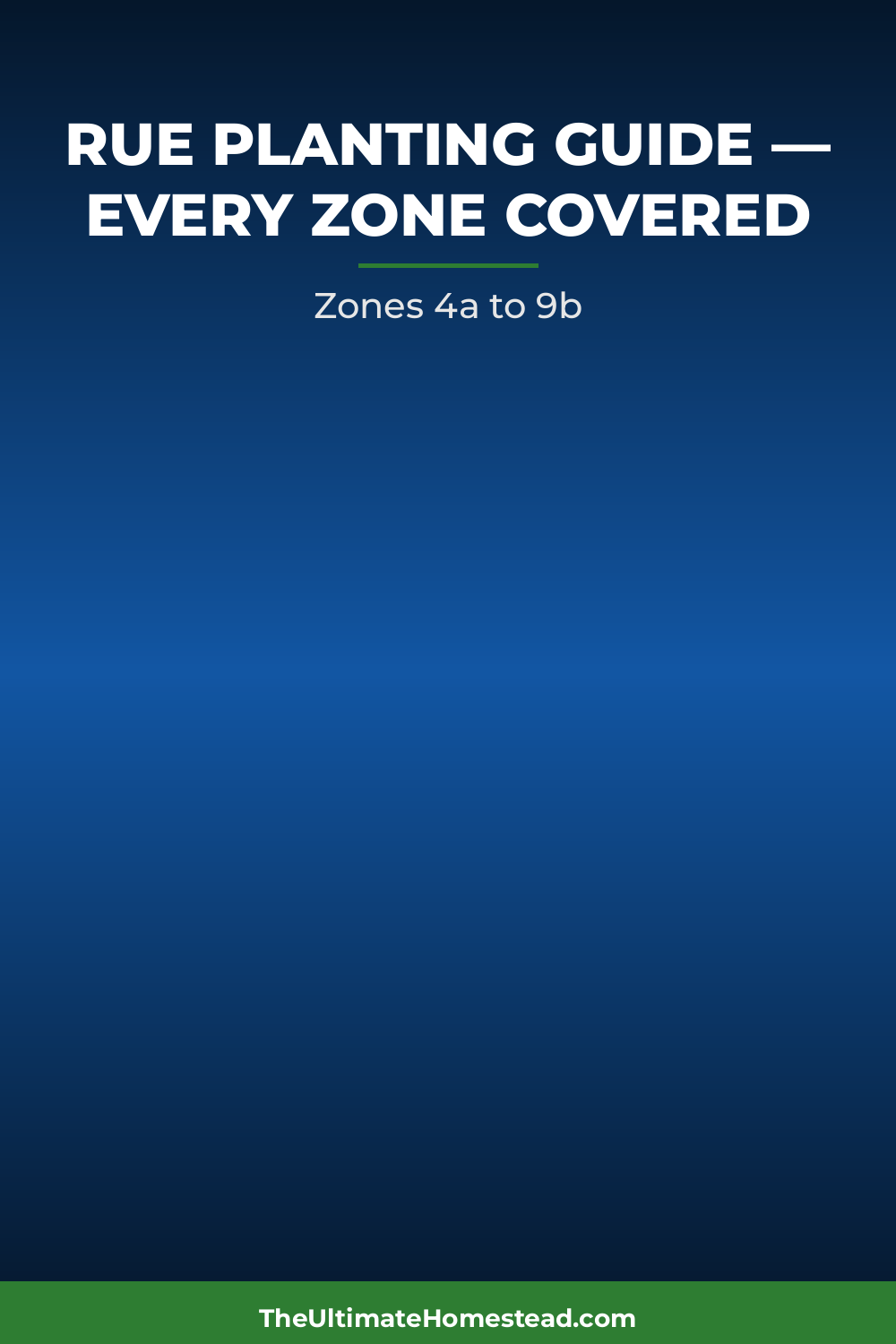 Rue Planting Guide