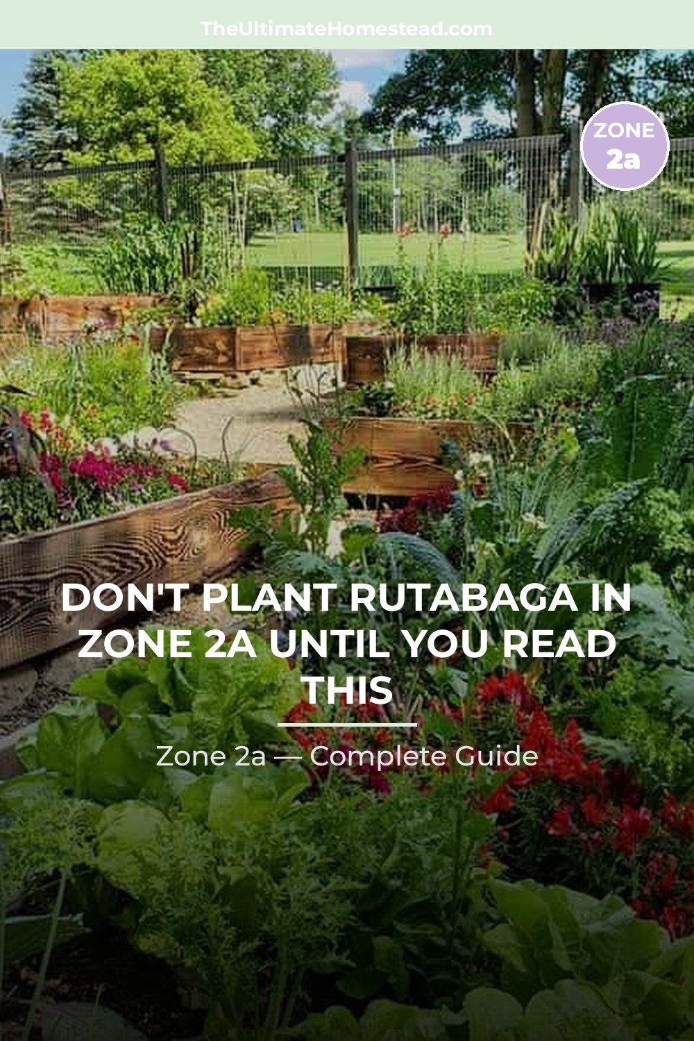 When to Plant Rutabaga in Zone 2a
