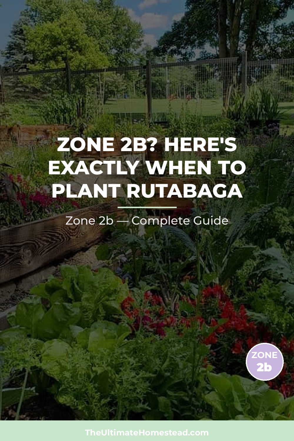 When to Plant Rutabaga in Zone 2b