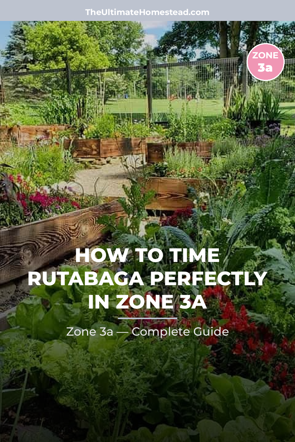 When to Plant Rutabaga in Zone 3a