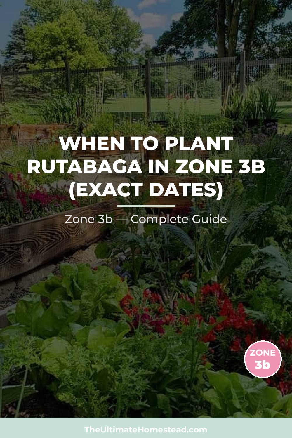 When to Plant Rutabaga in Zone 3b