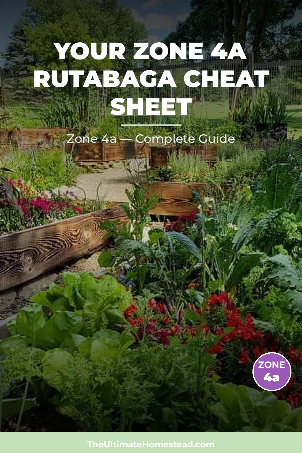 When to Plant Rutabaga in Zone 4a