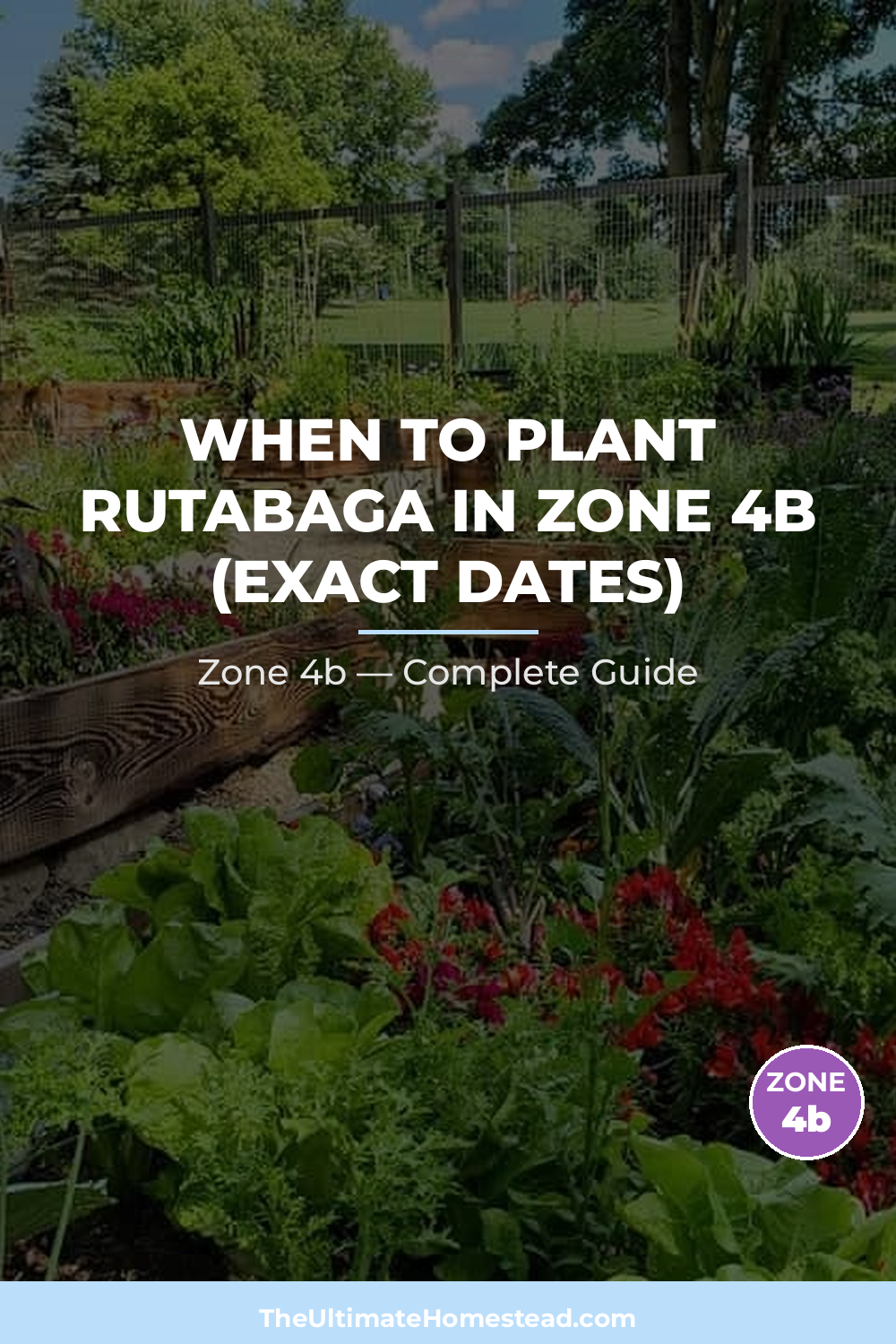 When to Plant Rutabaga in Zone 4b