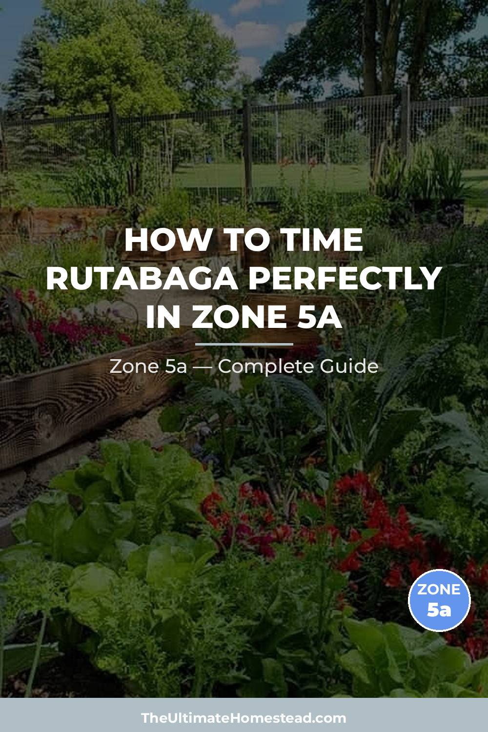When to Plant Rutabaga in Zone 5a