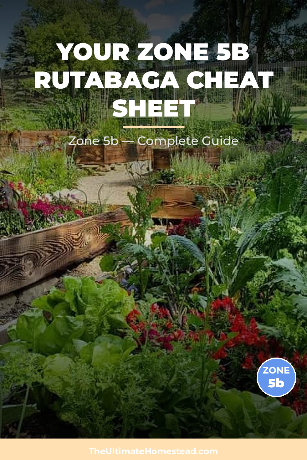 When to Plant Rutabaga in Zone 5b