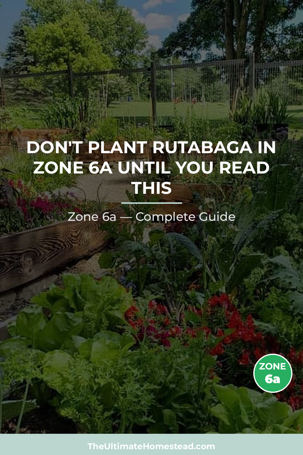 When to Plant Rutabaga in Zone 6a
