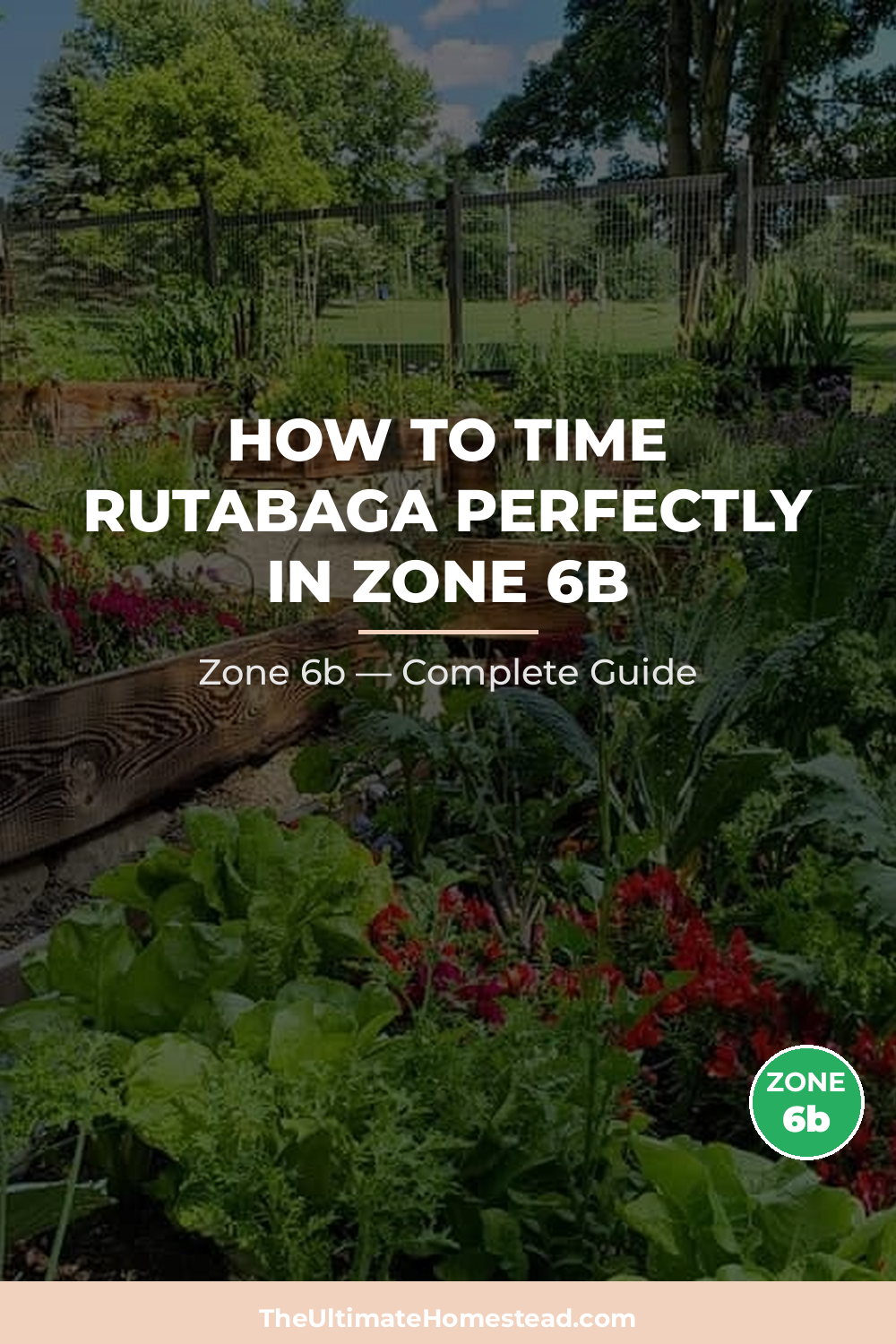 When to Plant Rutabaga in Zone 6b