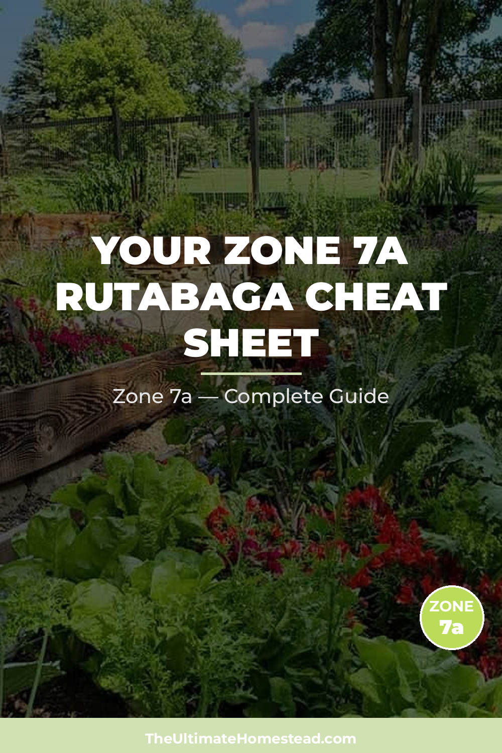 When to Plant Rutabaga in Zone 7a