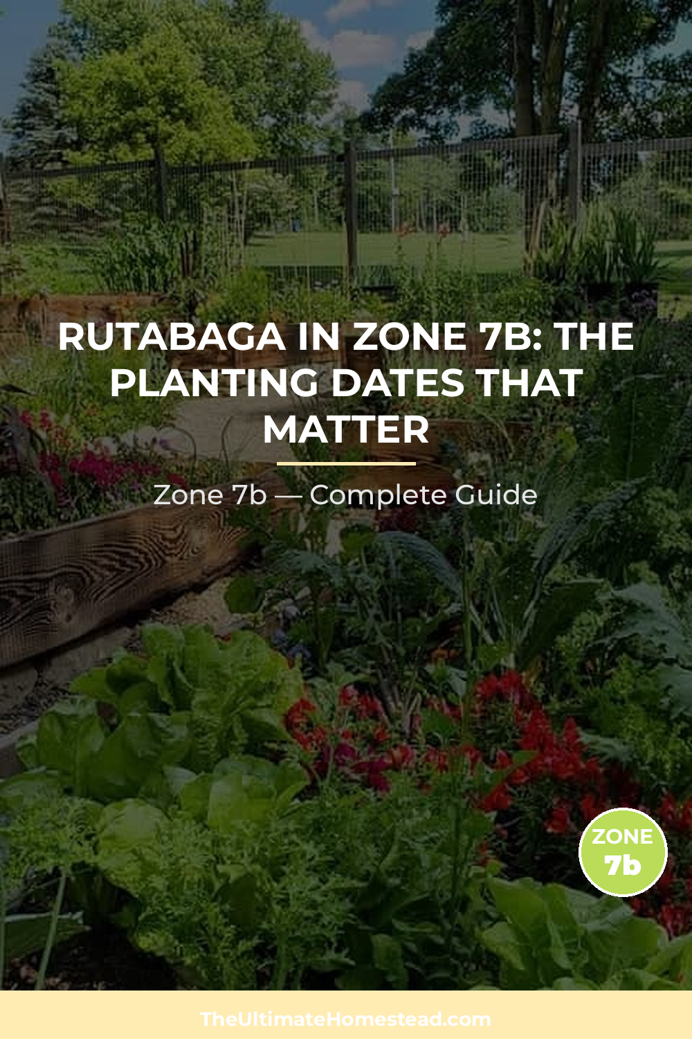 When to Plant Rutabaga in Zone 7b