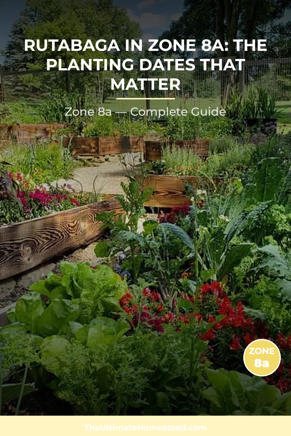 When to Plant Rutabaga in Zone 8a