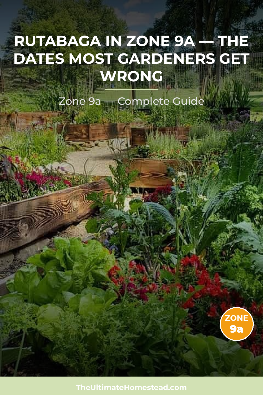 When to Plant Rutabaga in Zone 9a