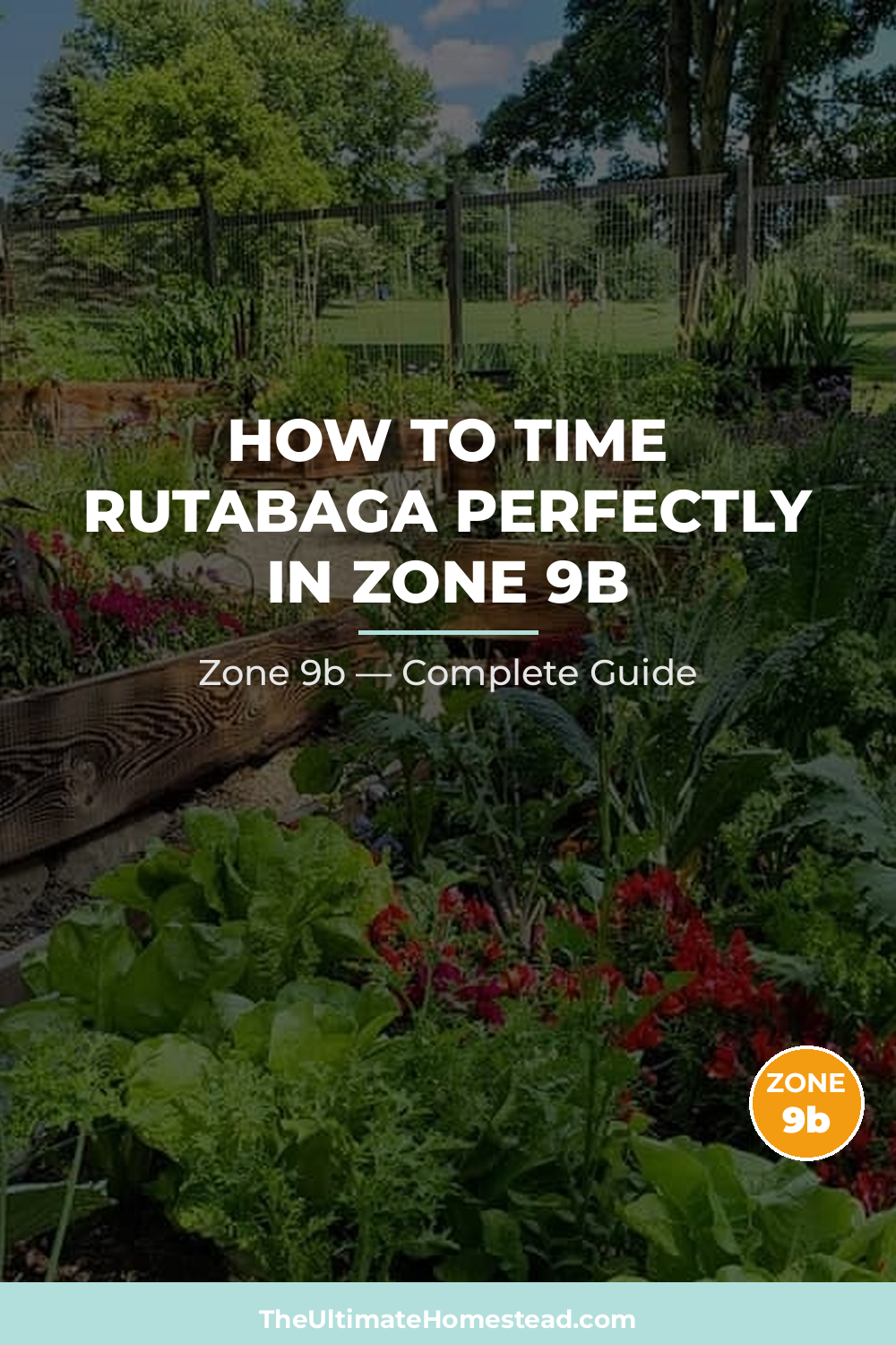 When to Plant Rutabaga in Zone 9b