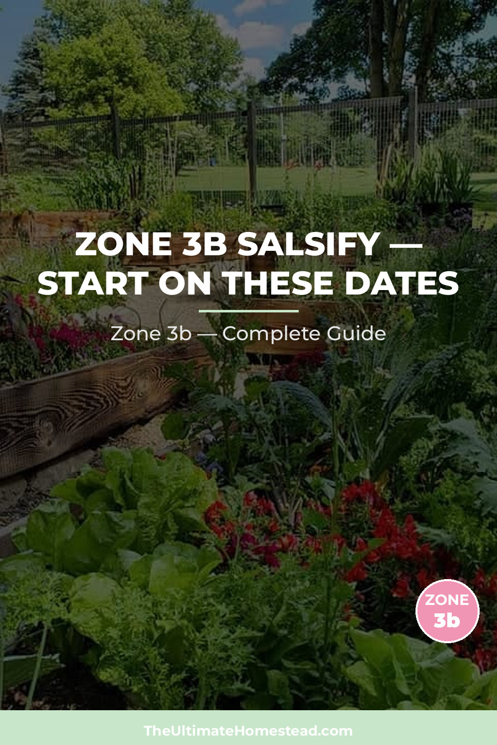 When to Plant Salsify in Zone 3b