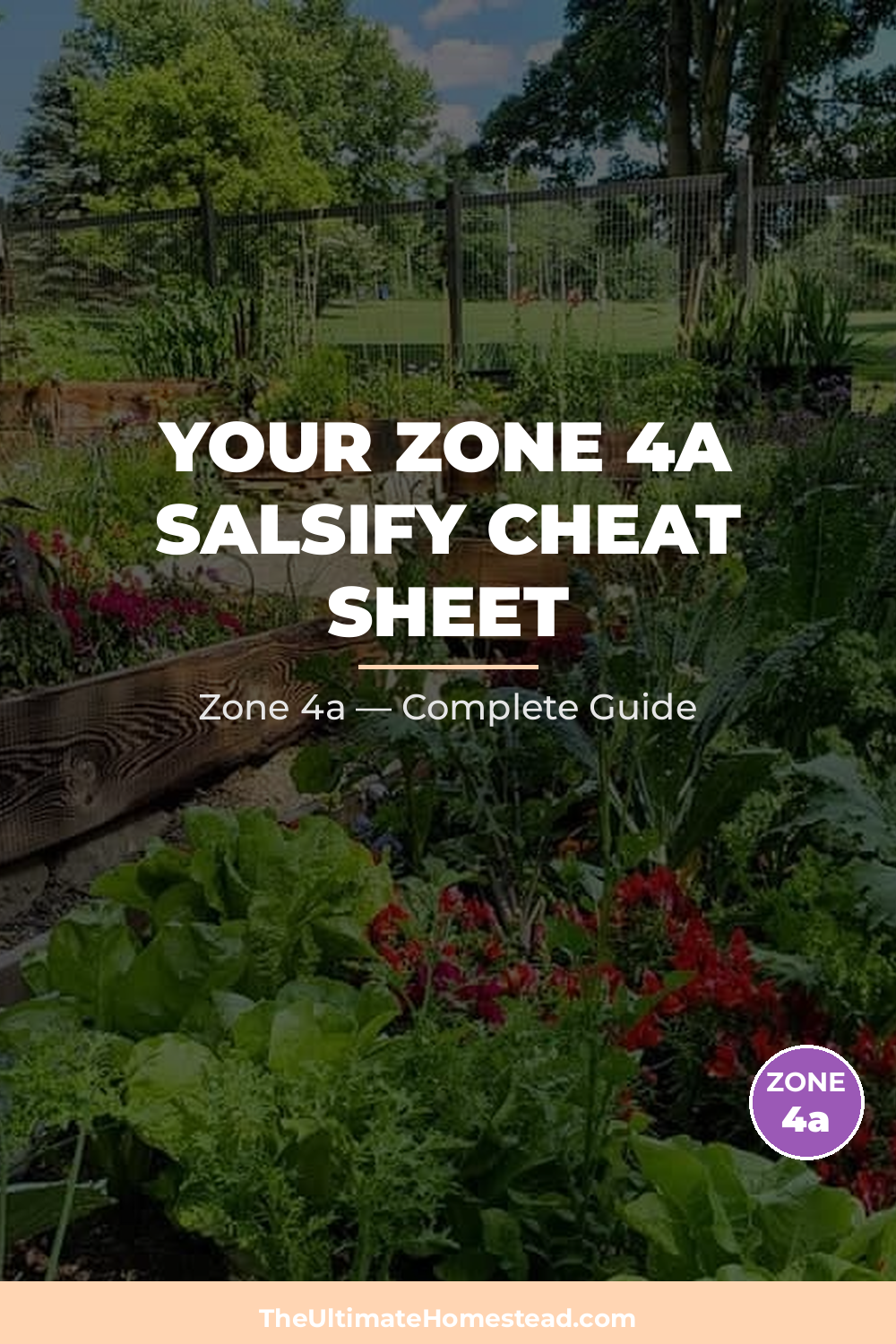 When to Plant Salsify in Zone 4a