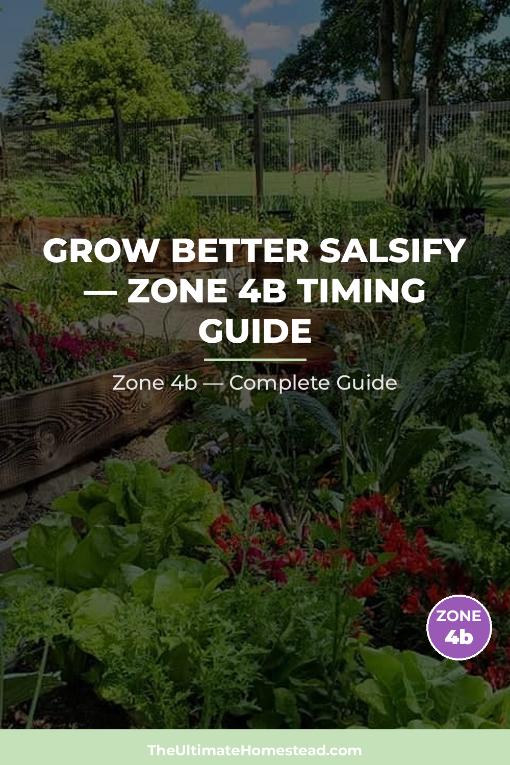 When to Plant Salsify in Zone 4b