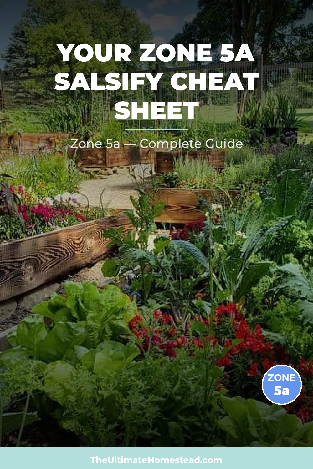 When to Plant Salsify in Zone 5a