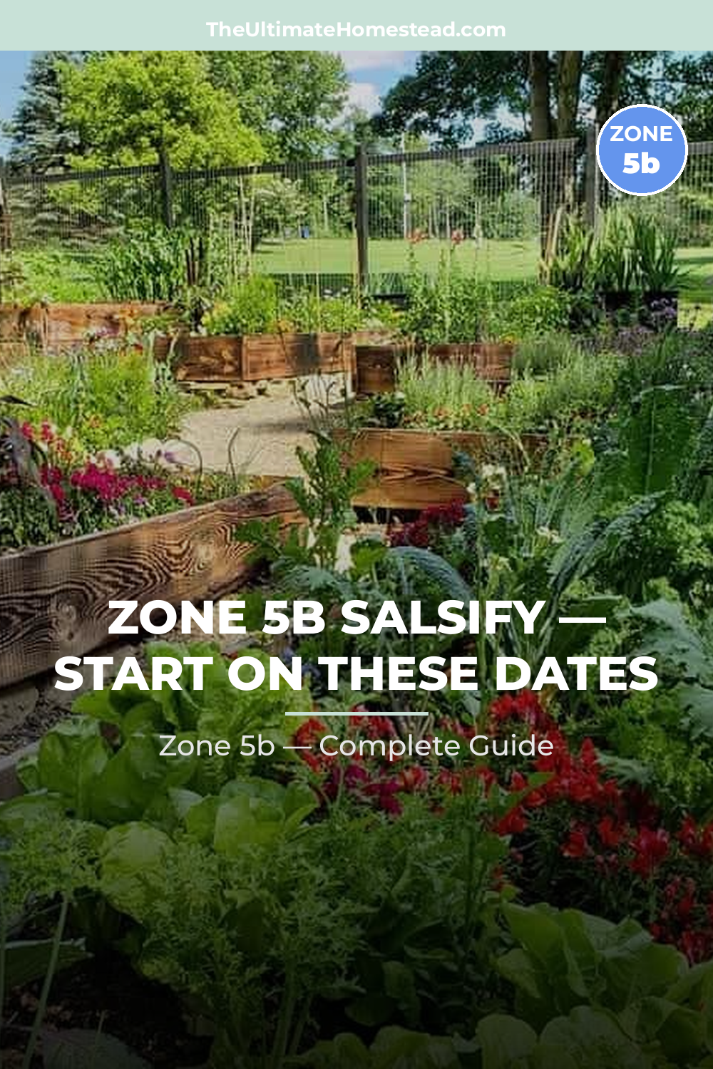 When to Plant Salsify in Zone 5b