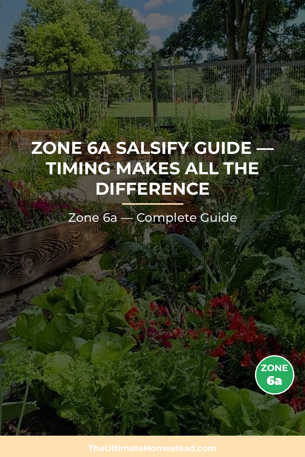 When to Plant Salsify in Zone 6a
