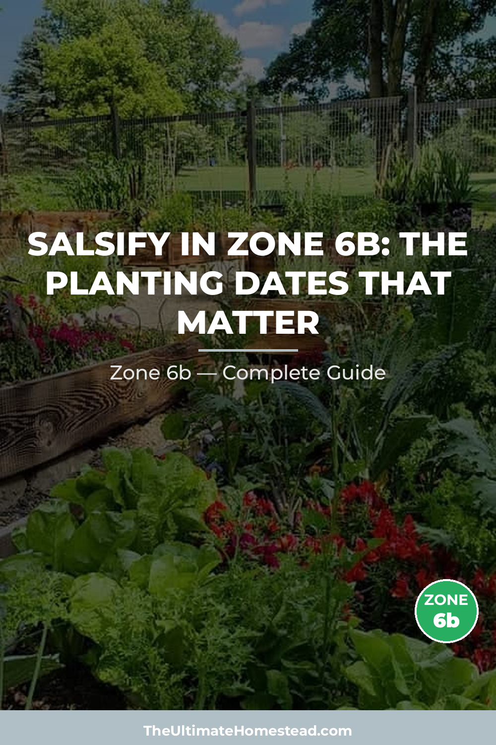 When to Plant Salsify in Zone 6b