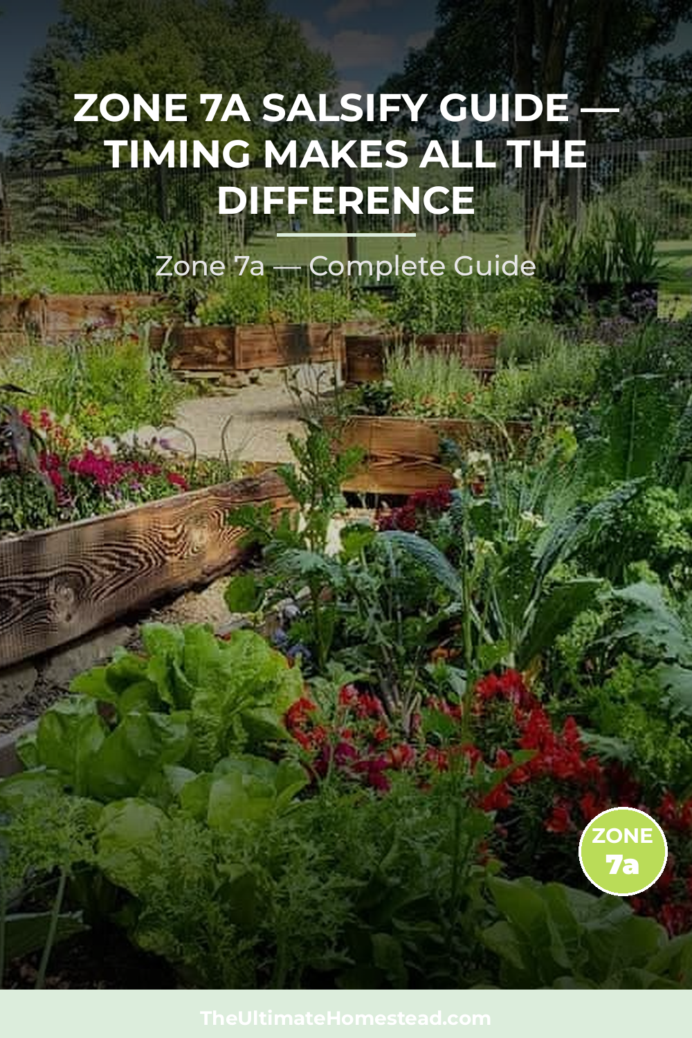 When to Plant Salsify in Zone 7a