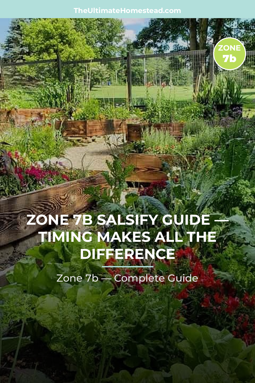 When to Plant Salsify in Zone 7b