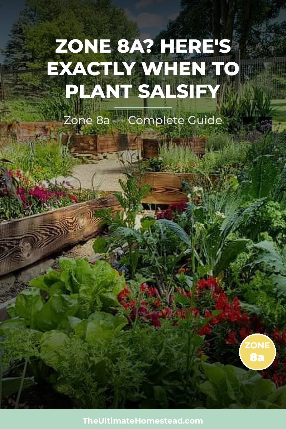 When to Plant Salsify in Zone 8a
