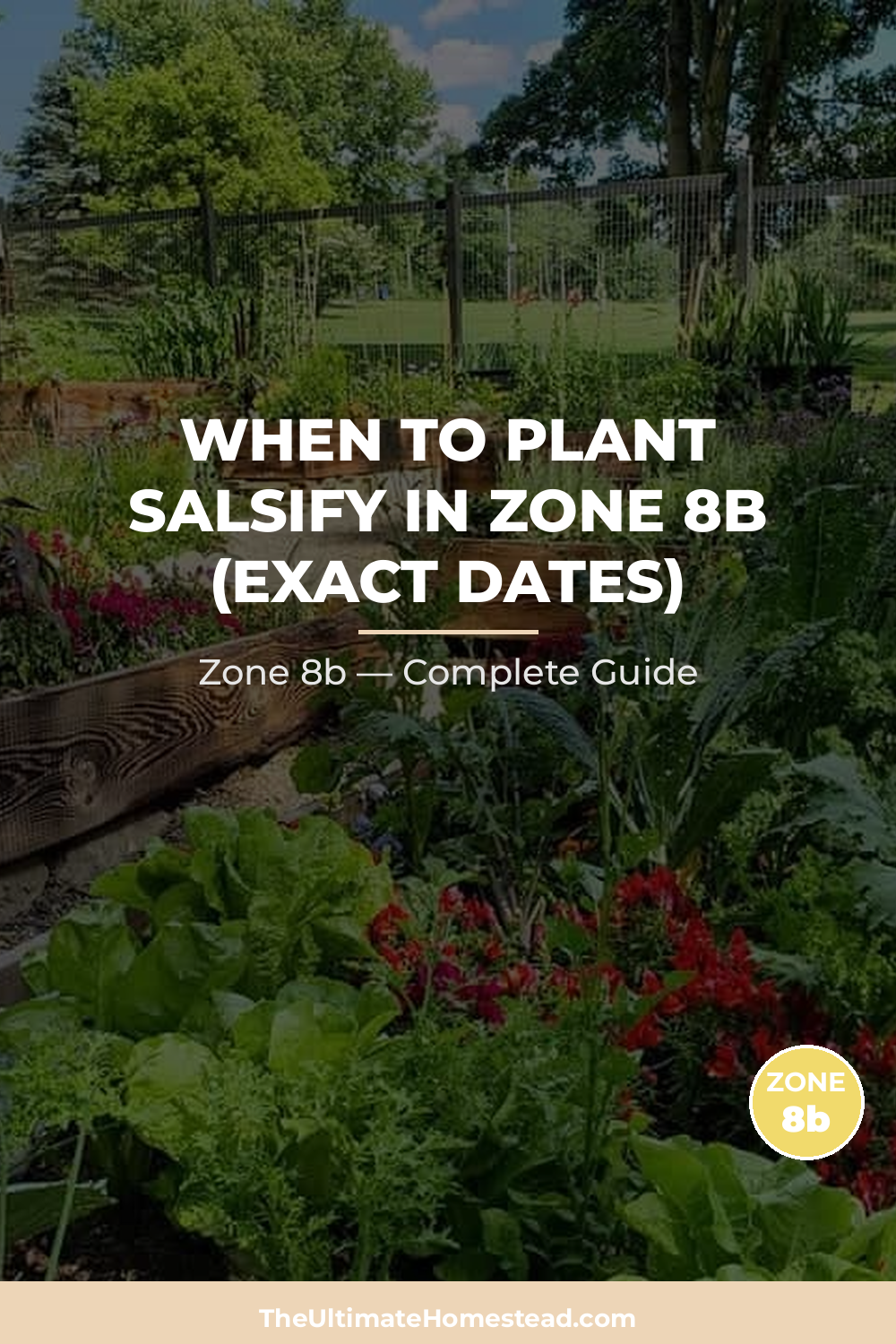 When to Plant Salsify in Zone 8b