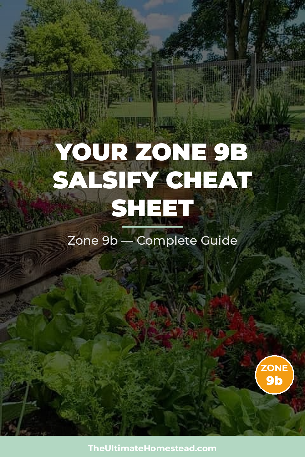 When to Plant Salsify in Zone 9b