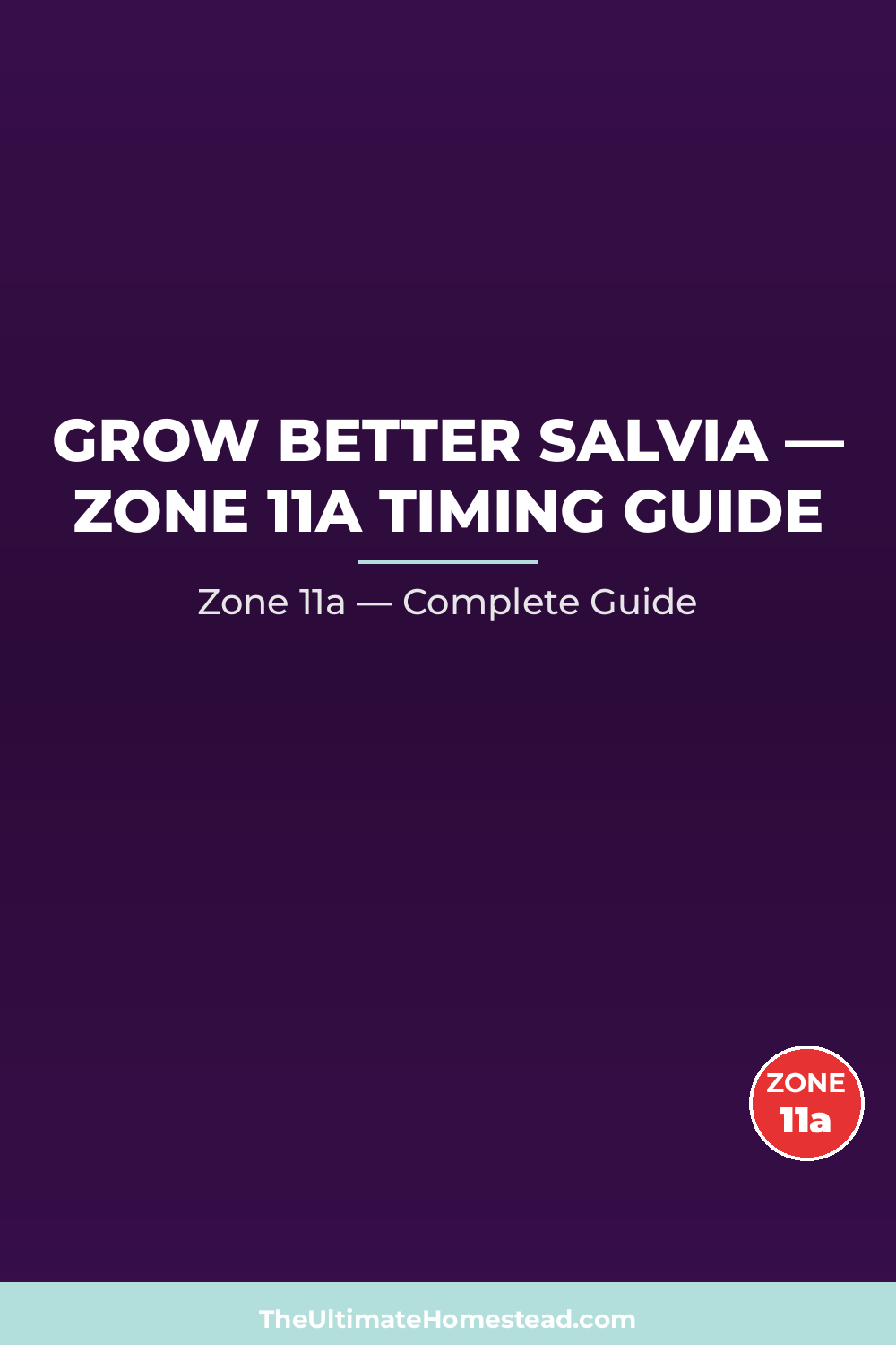 When to Plant Salvia in Zone 11a