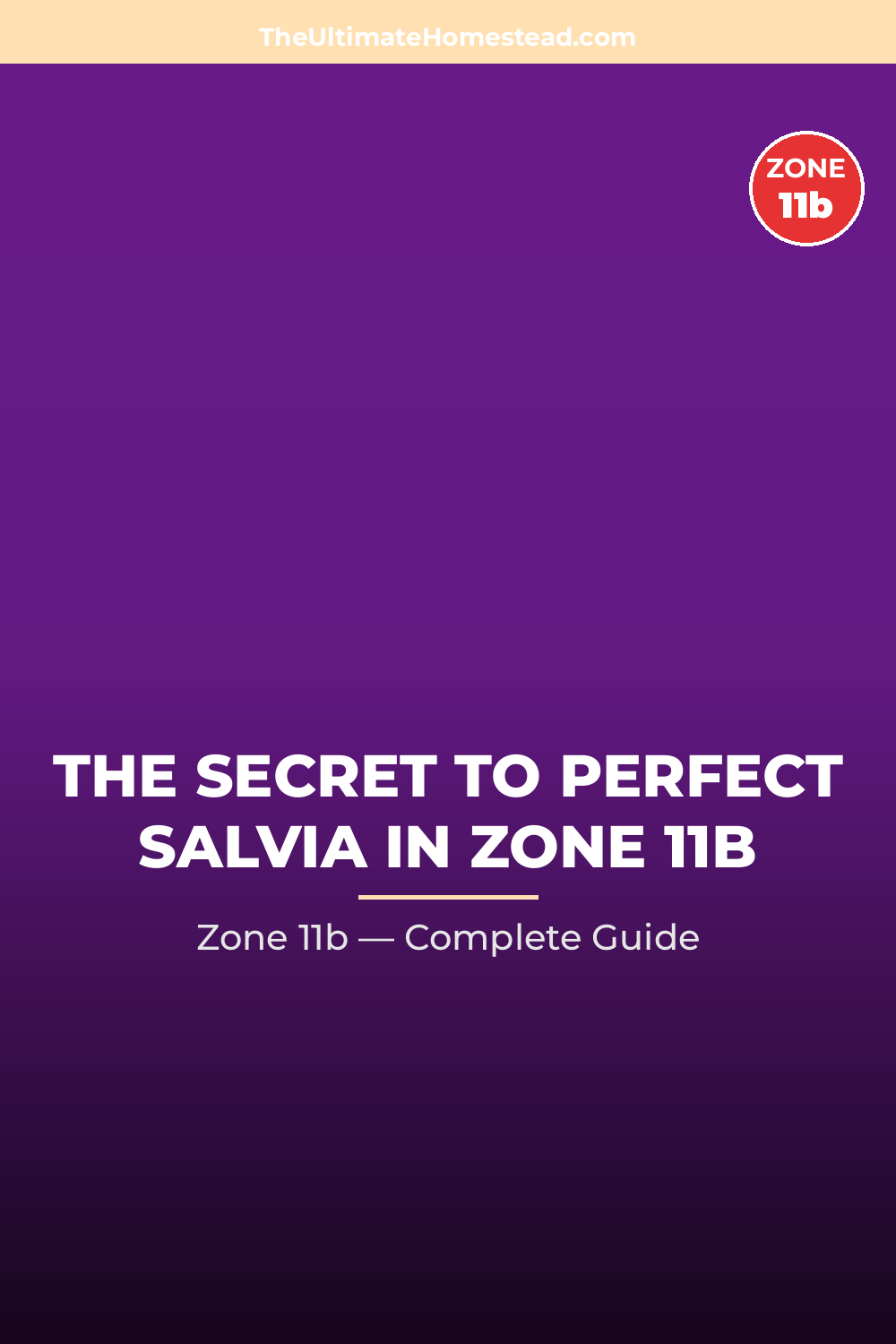 When to Plant Salvia in Zone 11b