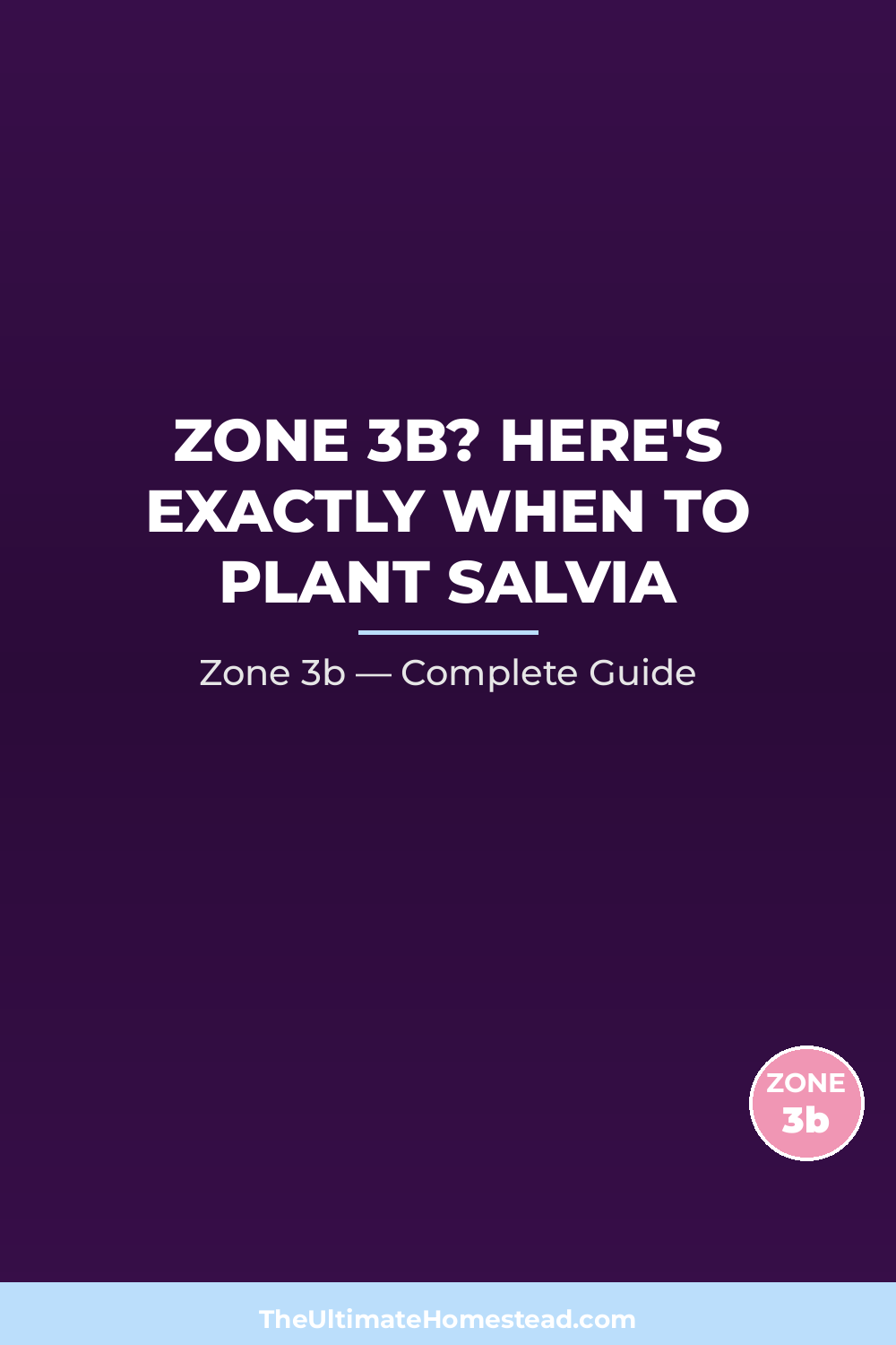 When to Plant Salvia in Zone 3b