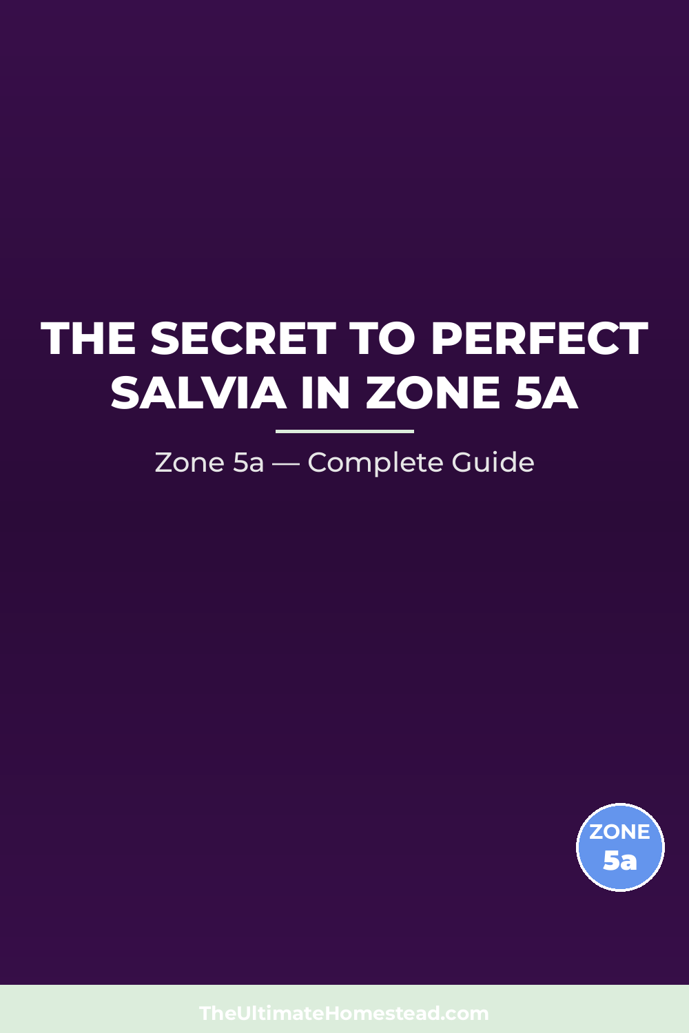 When to Plant Salvia in Zone 5a