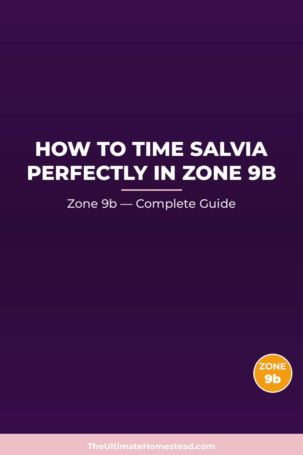 When to Plant Salvia in Zone 9b