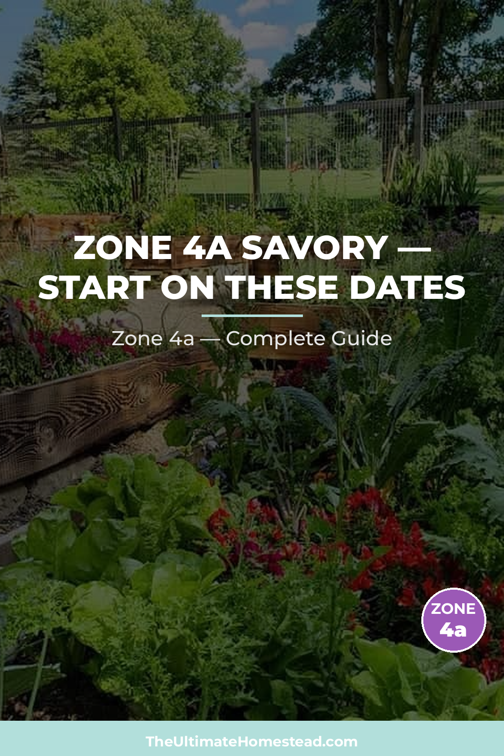 When to Plant Savory in Zone 4a