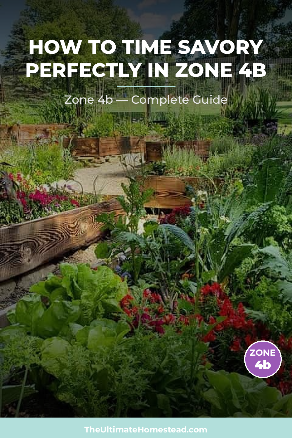 When to Plant Savory in Zone 4b