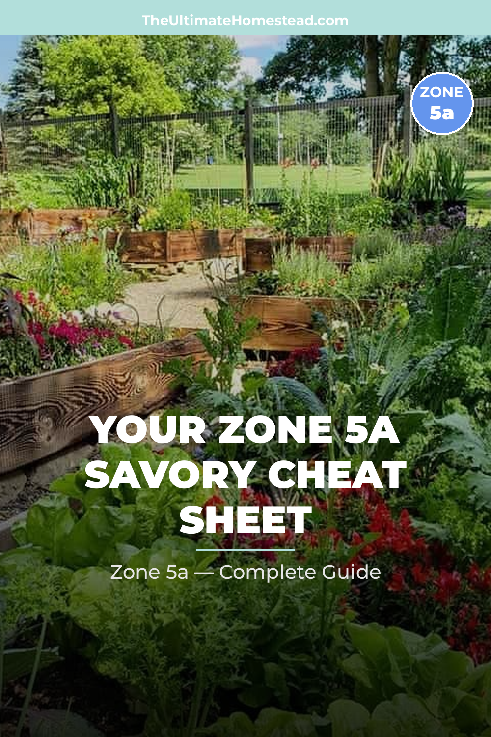 When to Plant Savory in Zone 5a