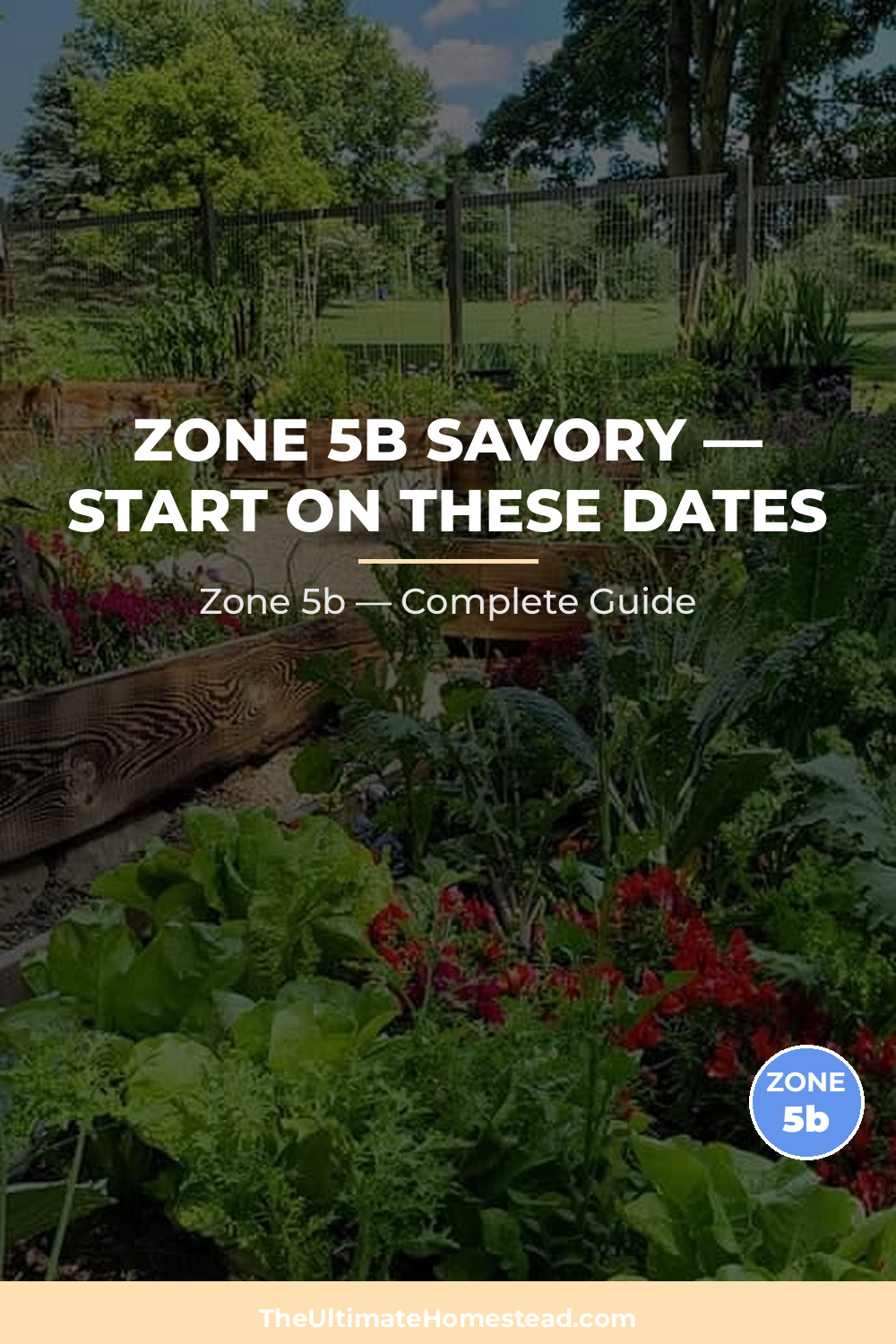 When to Plant Savory in Zone 5b