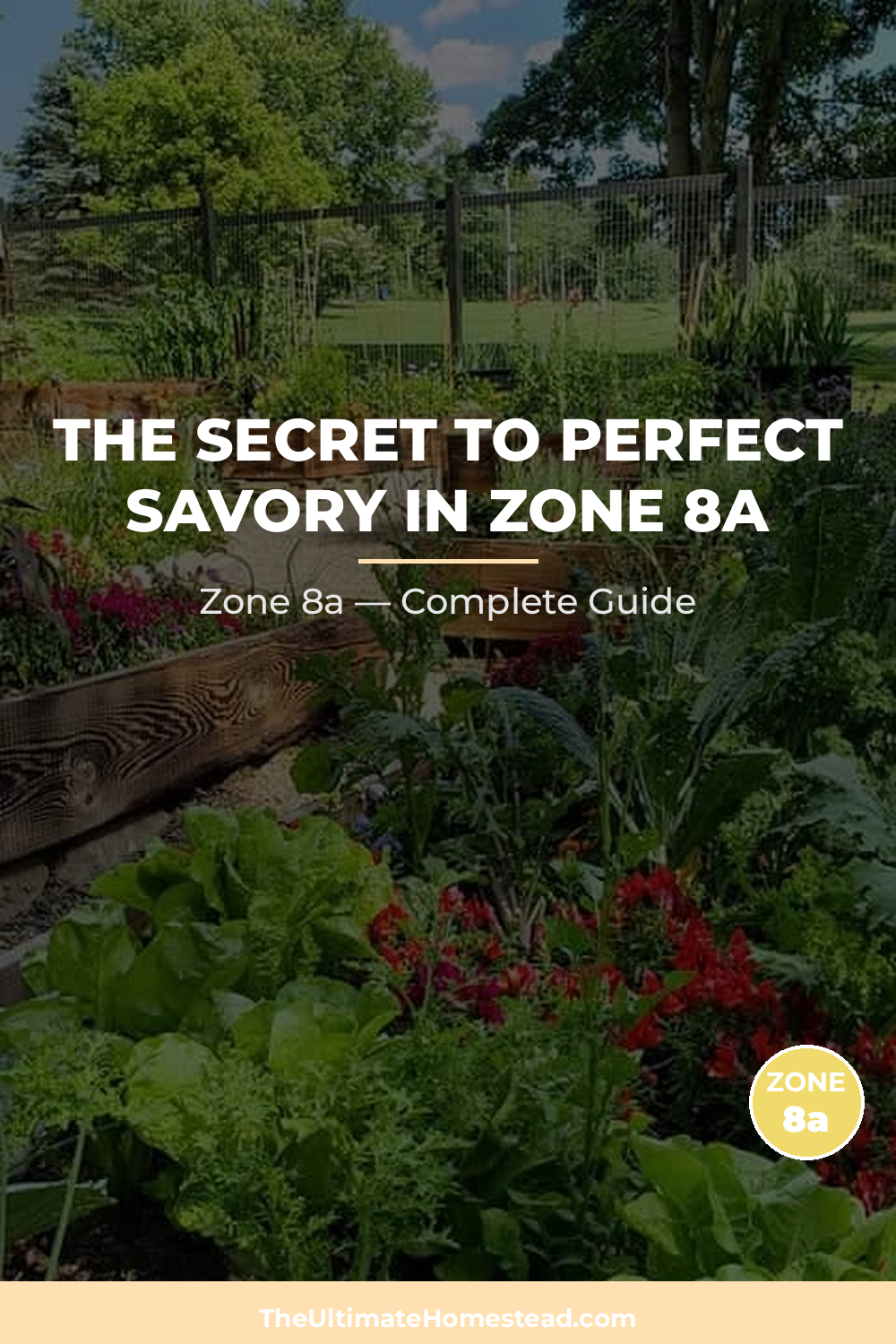 When to Plant Savory in Zone 8a