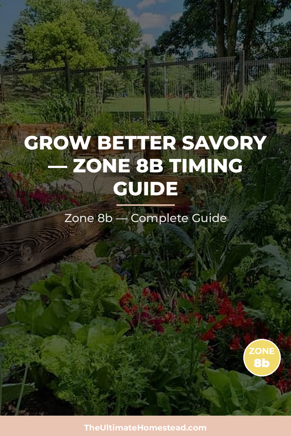 When to Plant Savory in Zone 8b