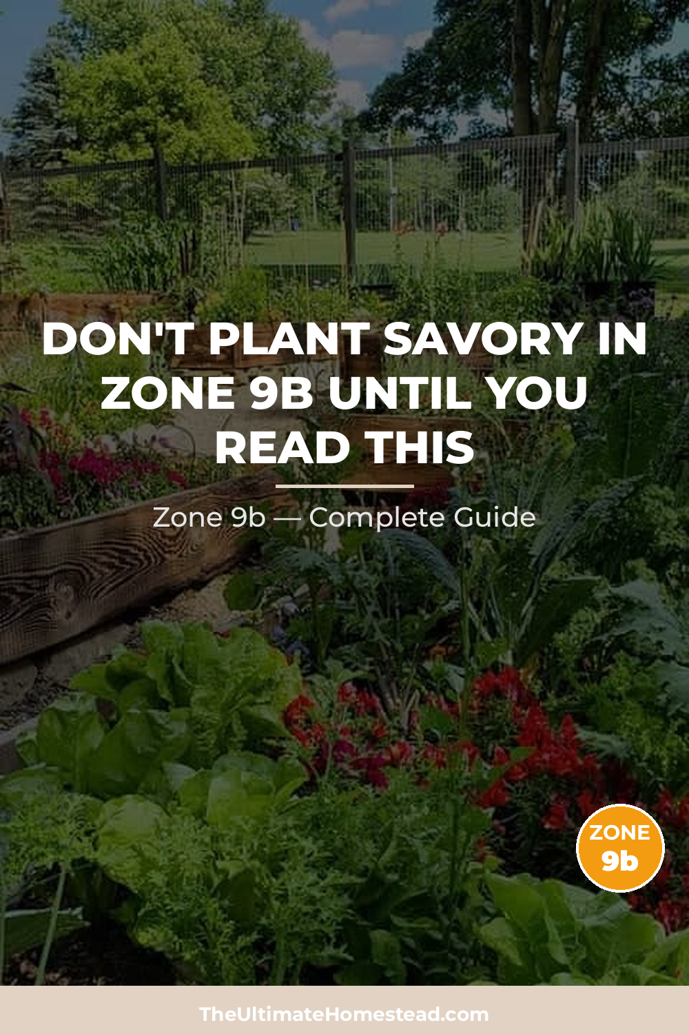 When to Plant Savory in Zone 9b