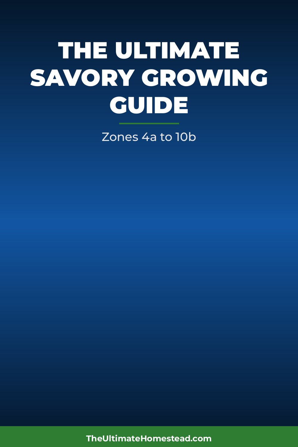 Savory Planting Guide